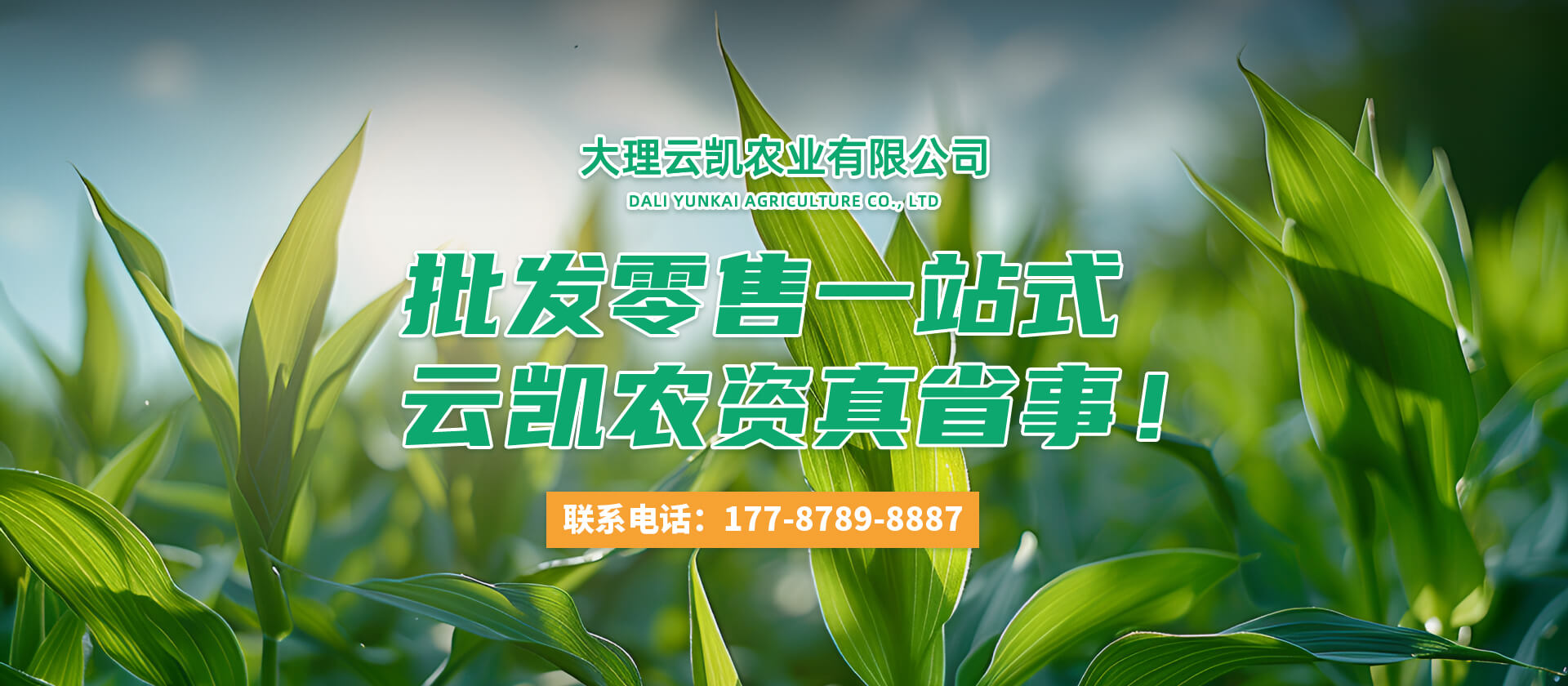 首页Banner03