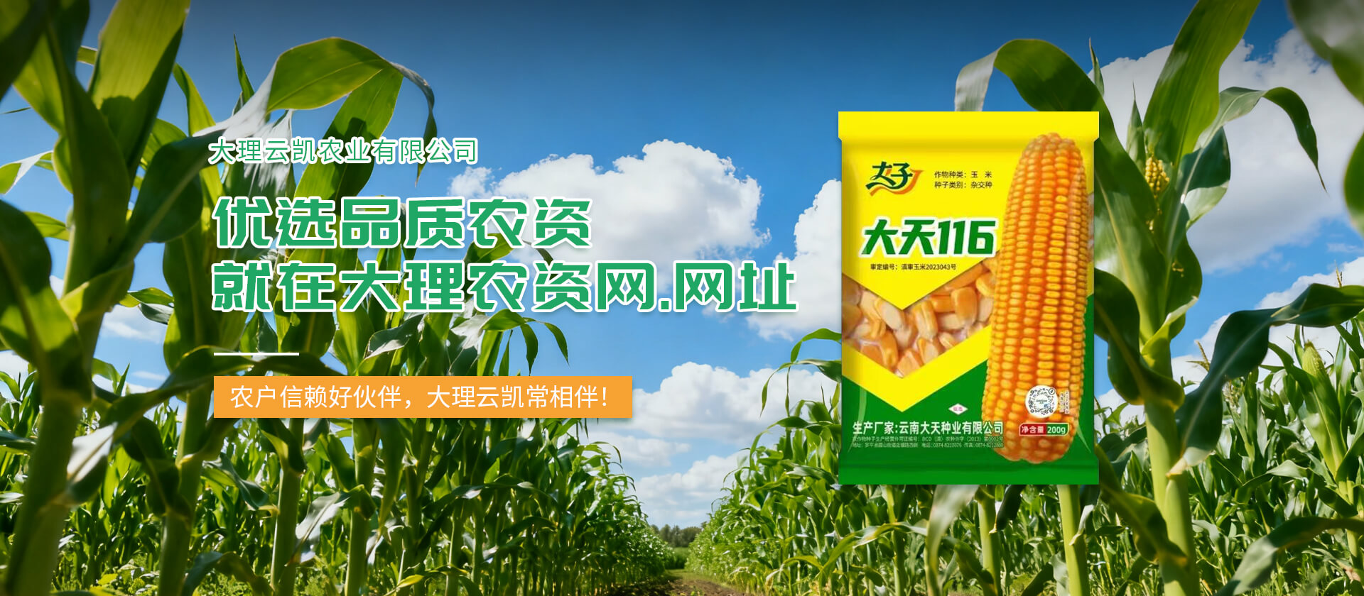 首页Banner01