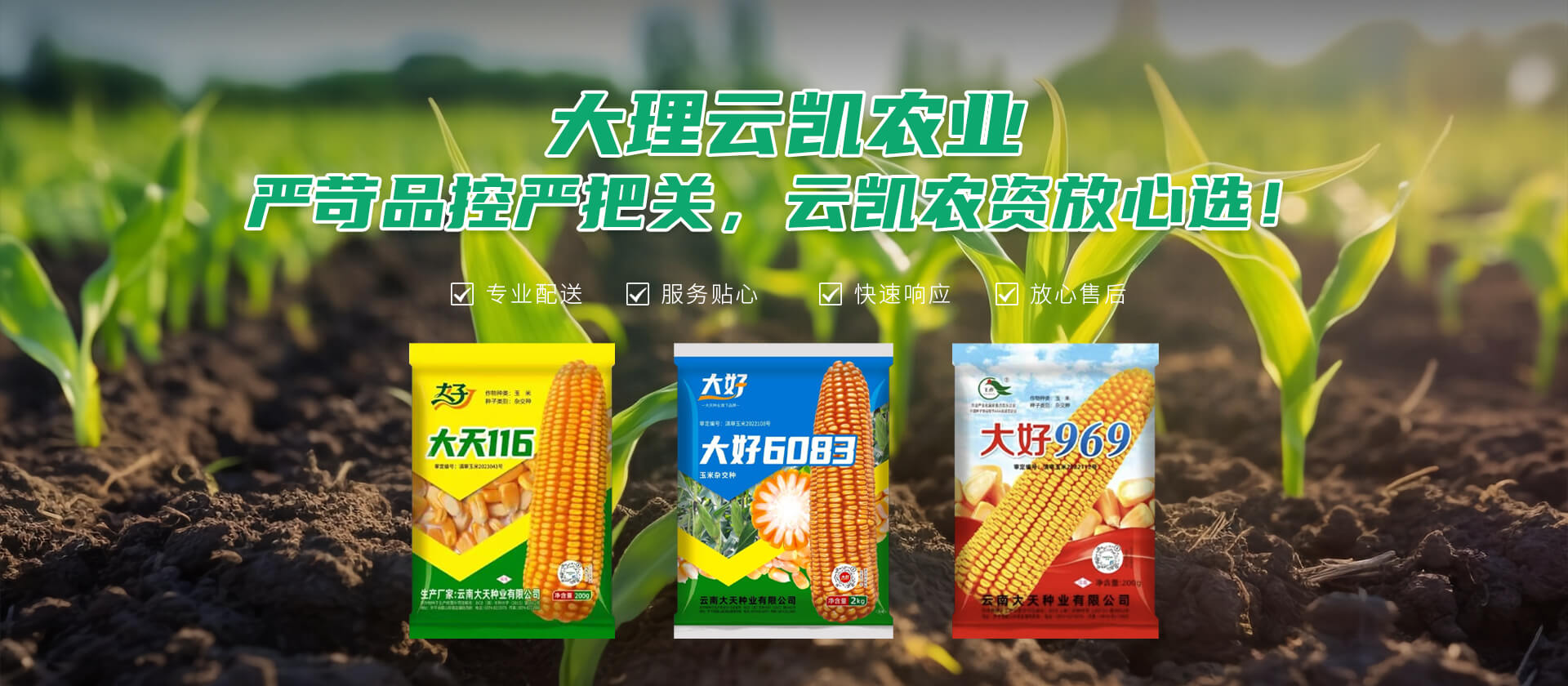 首页Banner02