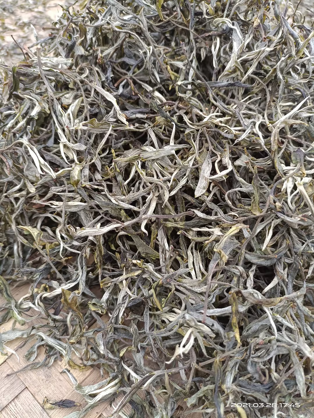 版纳茶庄特色茶叶，批发价优惠