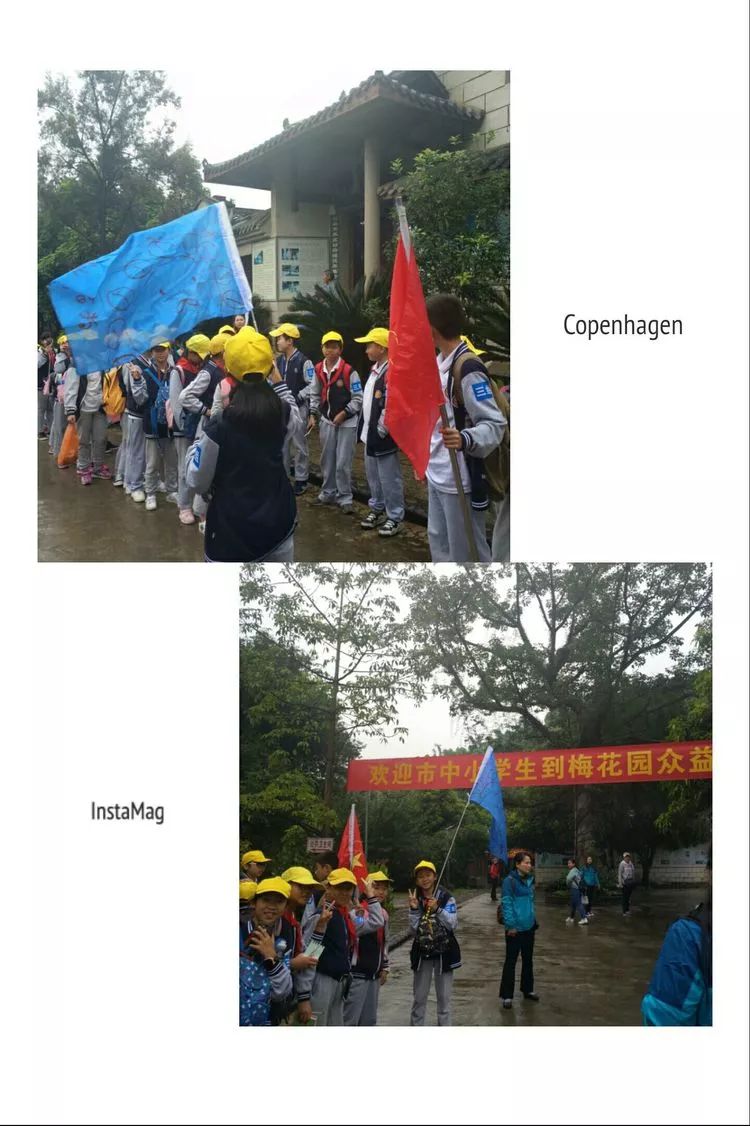 1d482f91-8945-43cd-ad23-65a0d4f878cc.jpg