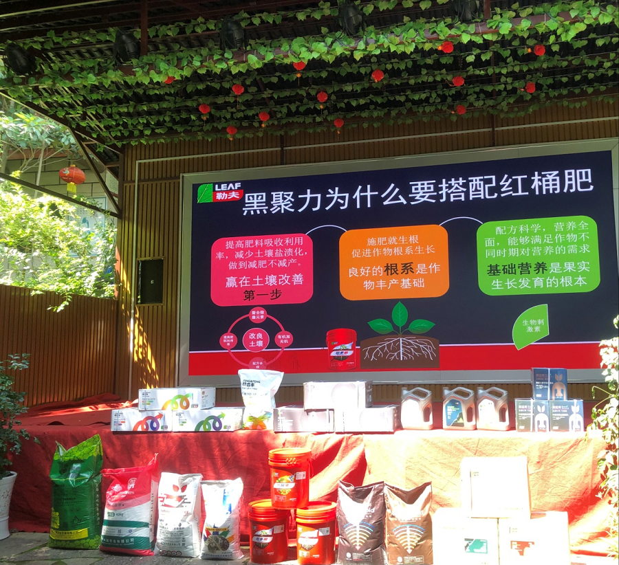 81f2999d-70dd-429a-b98c-589f85aadcc7.png