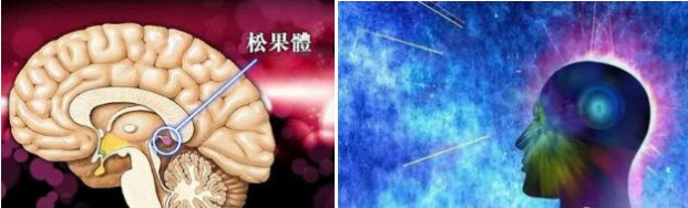 QQ截图20231107163148.png