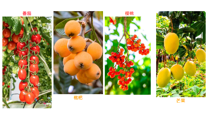 QQ截图20231107164732.png