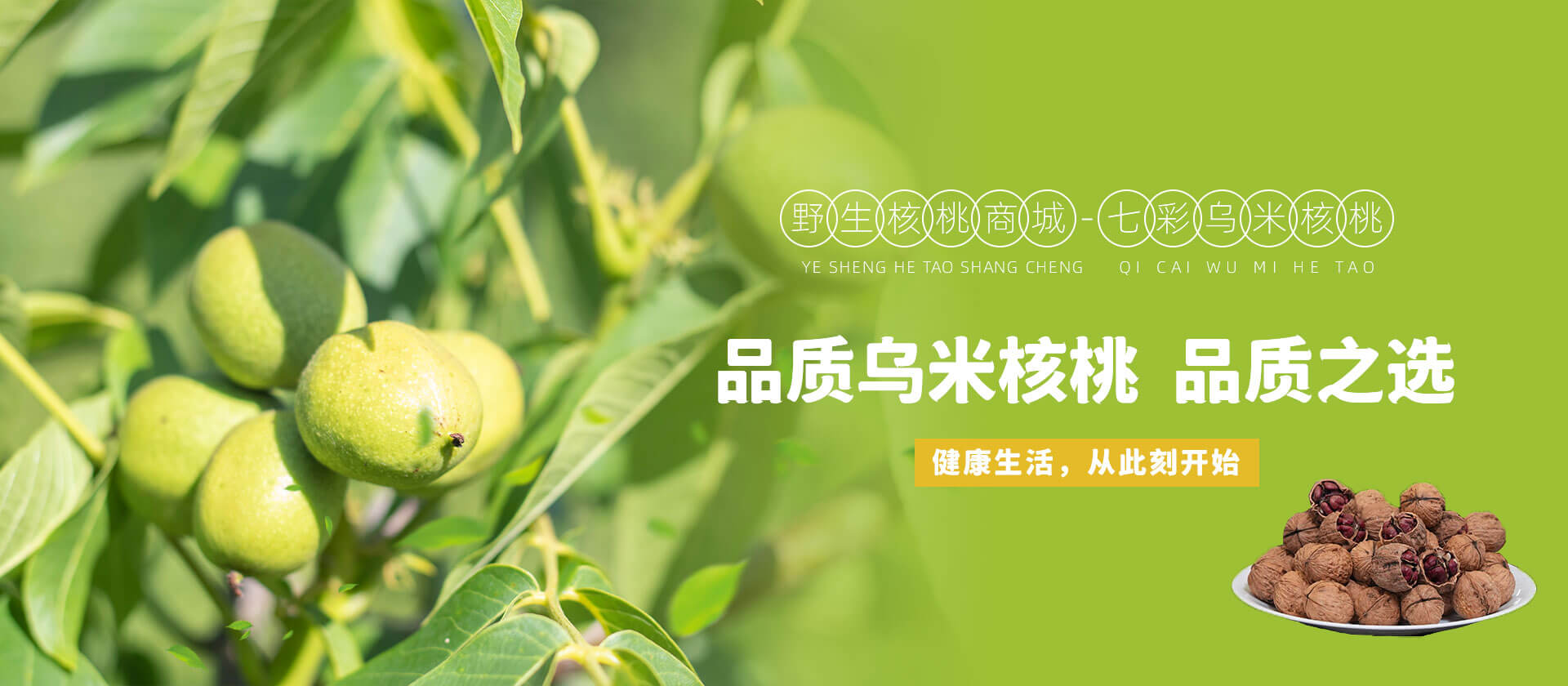 首页Banner02