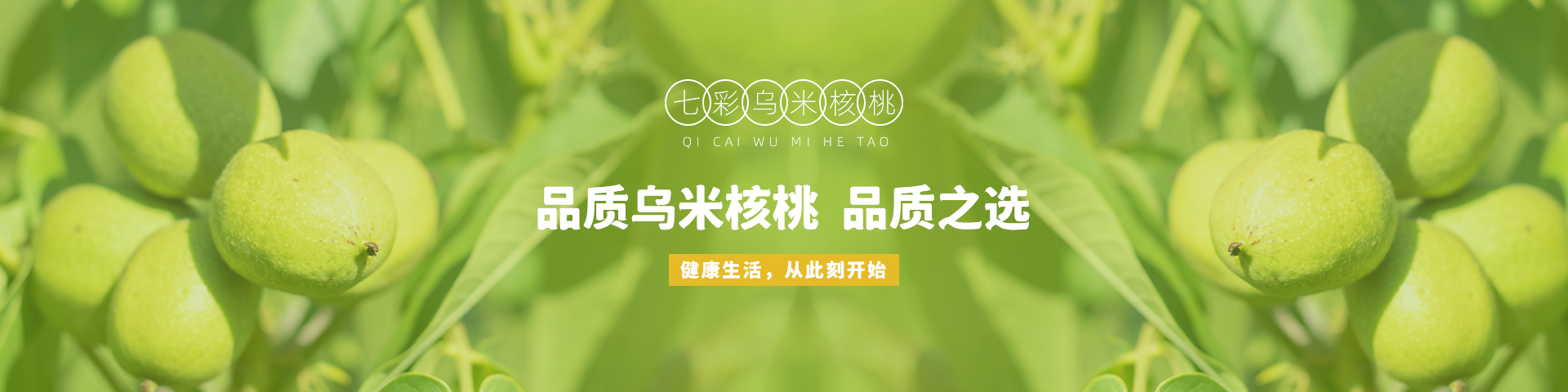 内页Banner