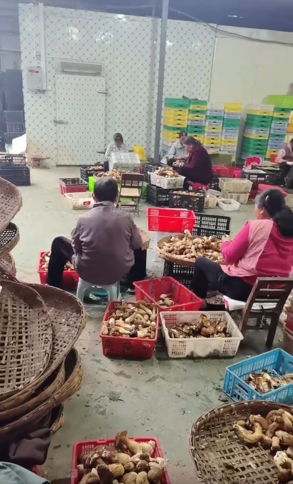 4b087a01-edc6-4047-86ba-8a437e77e3e6.jpg 4b087a01-edc6-4047-86ba-8a437e77e3e6.jpg