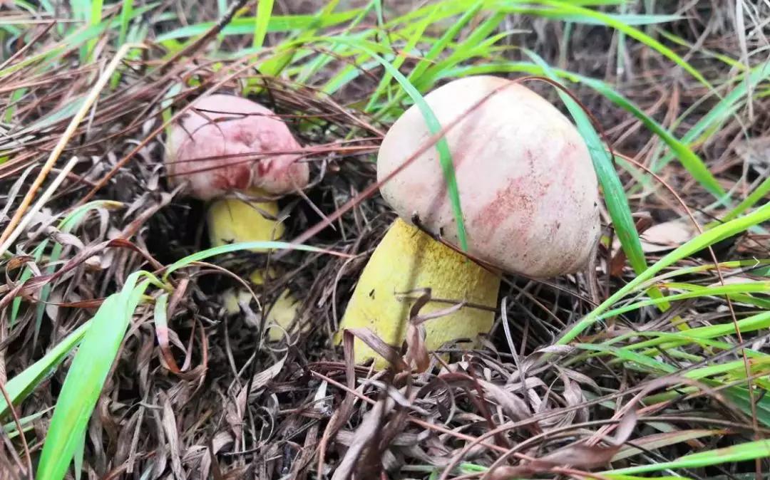 68d76883-56ac-4bab-bd31-b343ae5aabfc.jpg 68d76883-56ac-4bab-bd31-b343ae5aabfc.jpg