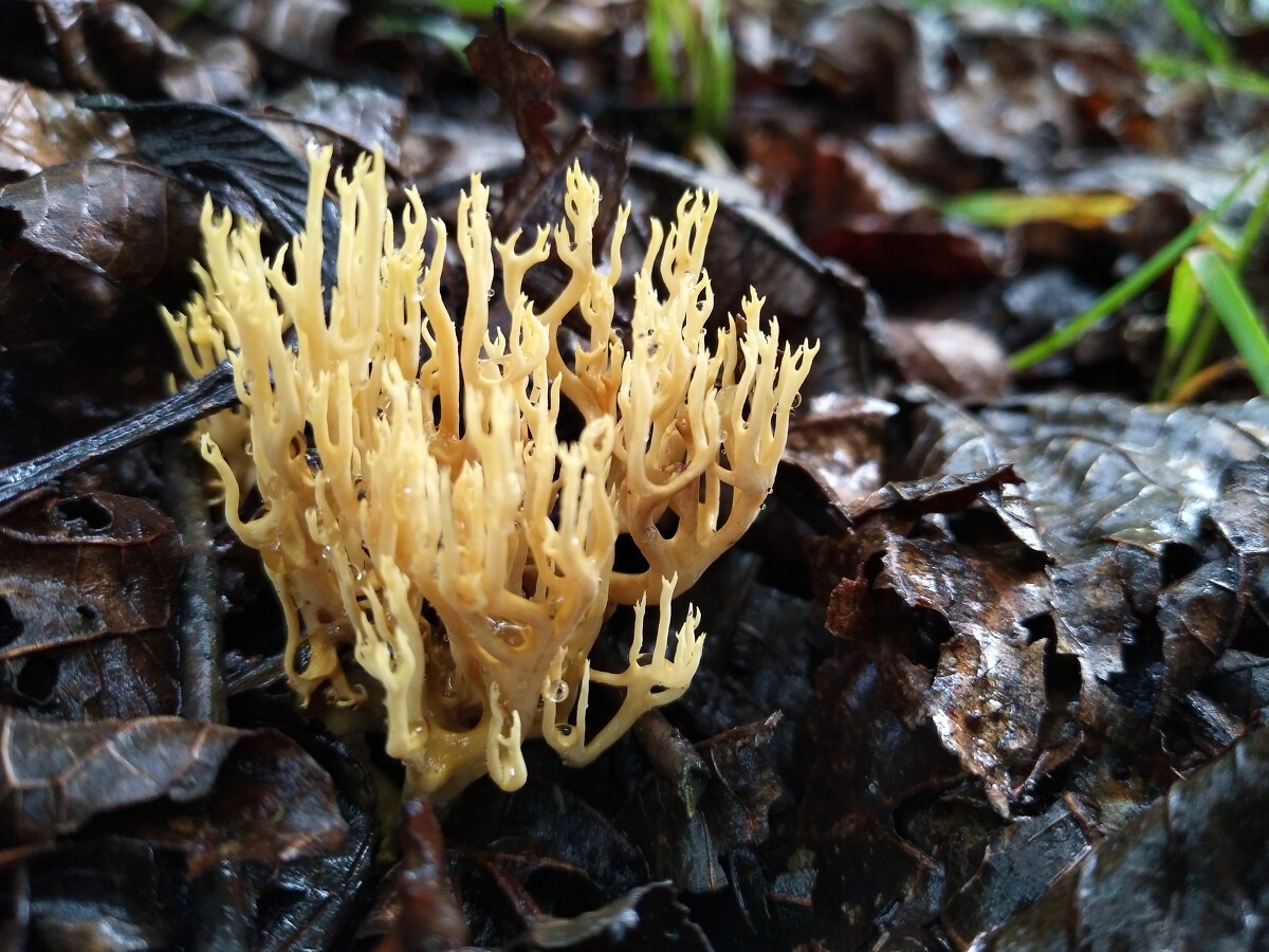 79e284ba-917a-4178-bb57-abd2572f7bd8.jpg 79e284ba-917a-4178-bb57-abd2572f7bd8.jpg