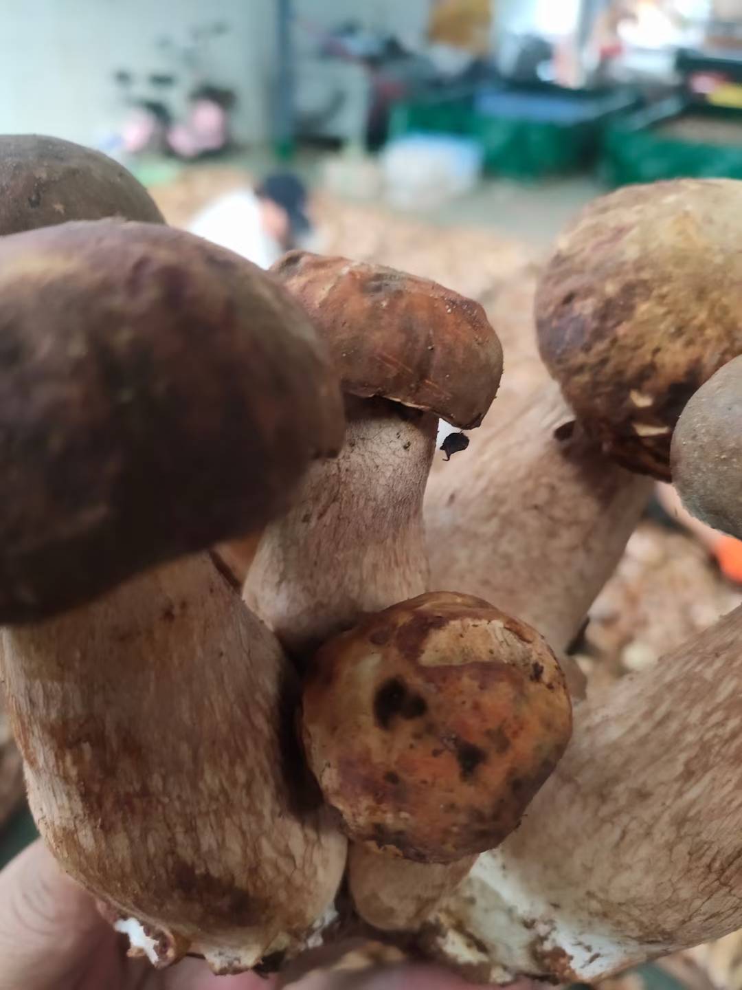 9d3f15c7-58df-4423-9c96-70efd3a520ff.jpg 9d3f15c7-58df-4423-9c96-70efd3a520ff.jpg