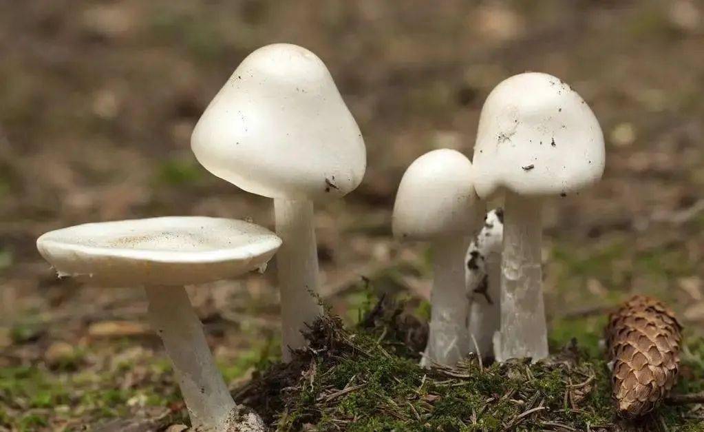 d065b717-77e8-4b27-8e05-074d0b337809.jpeg d065b717-77e8-4b27-8e05-074d0b337809.jpeg