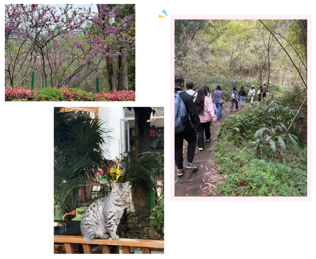 83e8531c-6824-4c83-abab-027984f08c93.png 83e8531c-6824-4c83-abab-027984f08c93.png