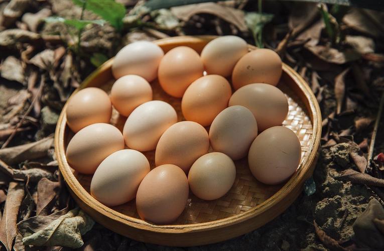 圈养的云南土鸡蛋_好品质农业