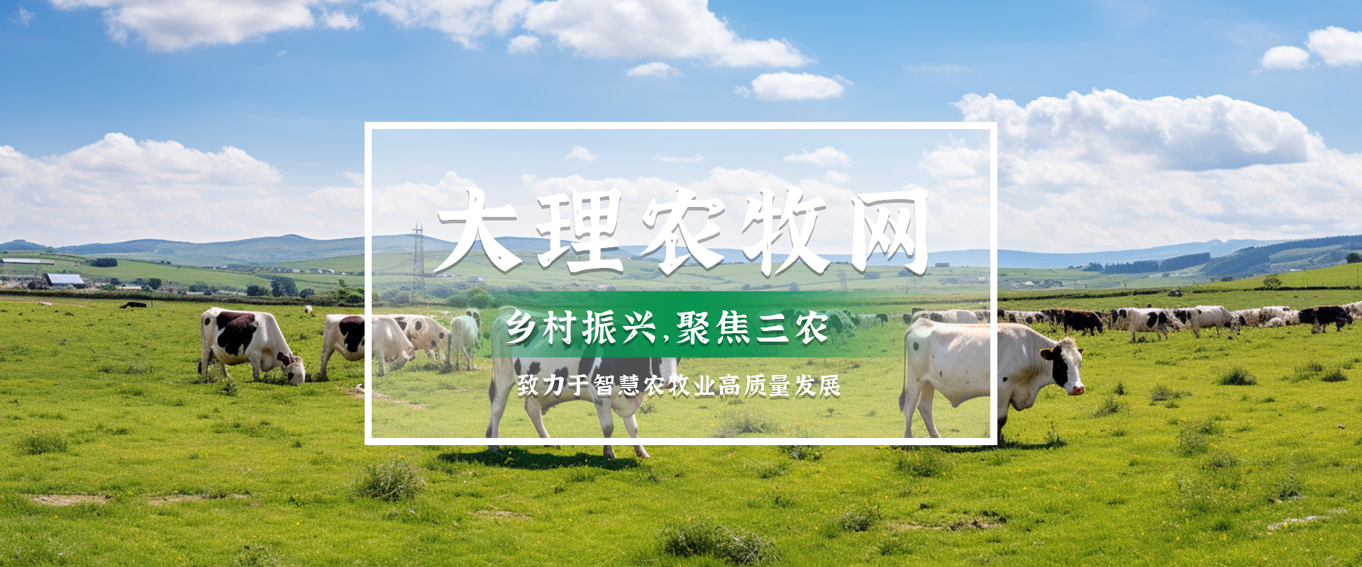 PC端首页Banner2