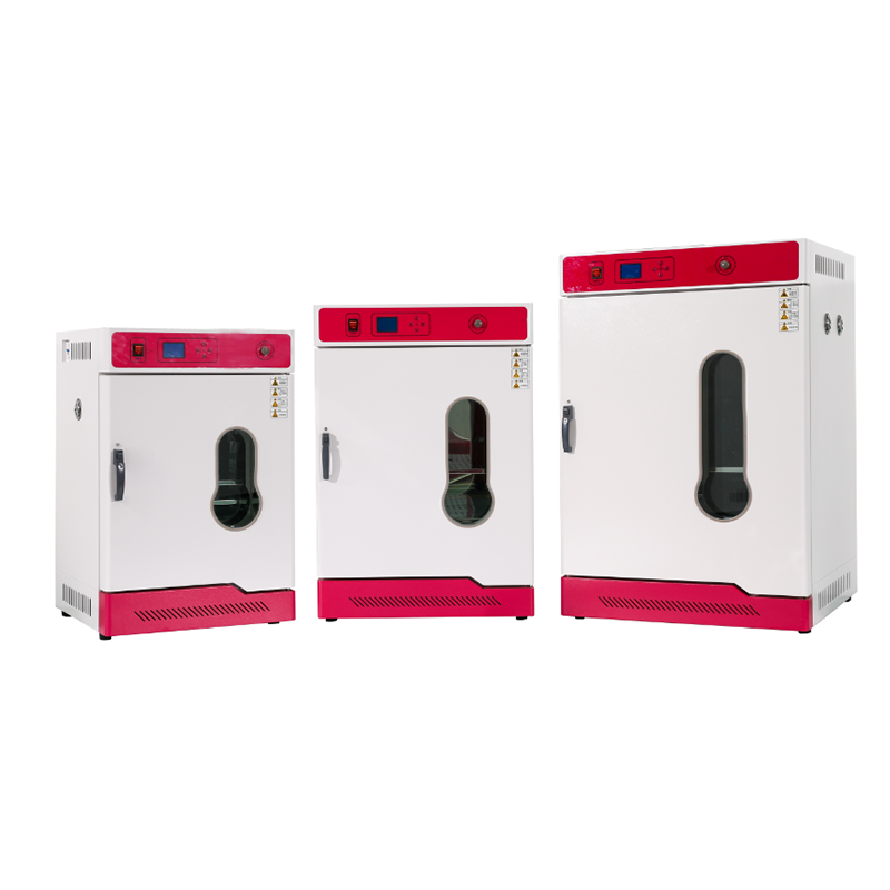 立式电热恒温鼓风干燥箱