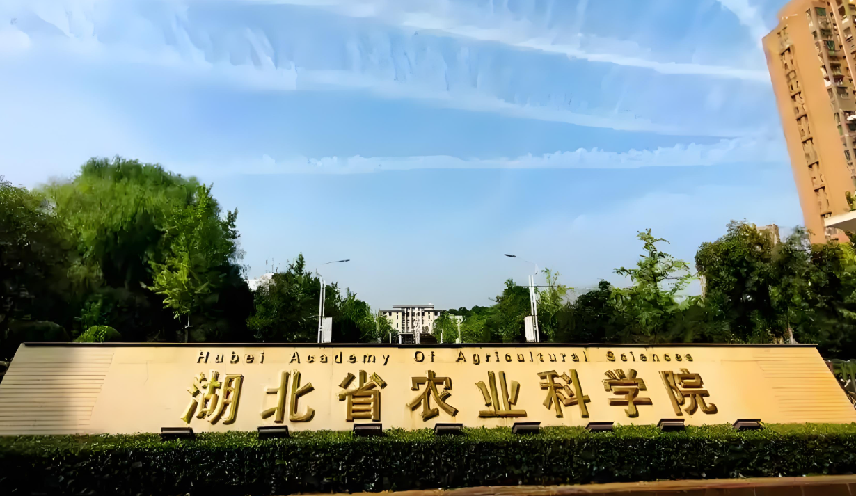 湖北省农科院采购低温胁迫