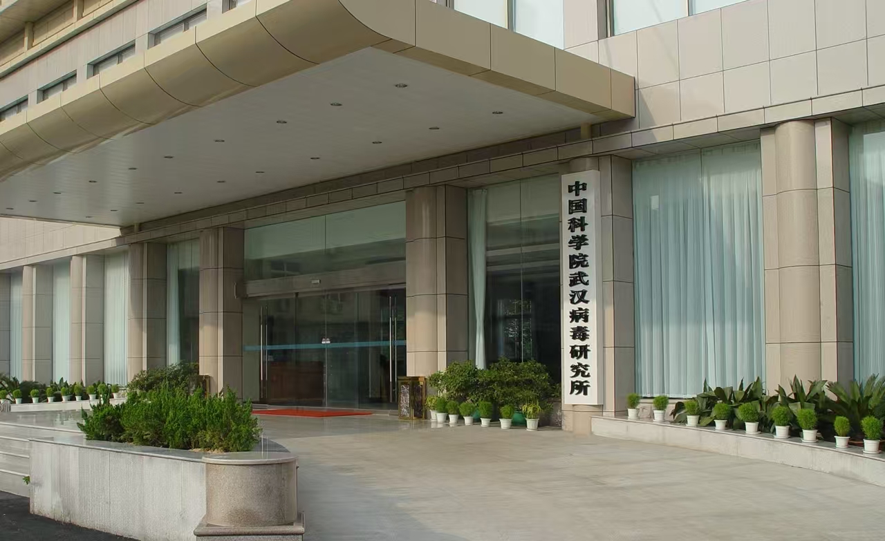 中国科学院武汉病毒研究所采购鼓风干燥箱