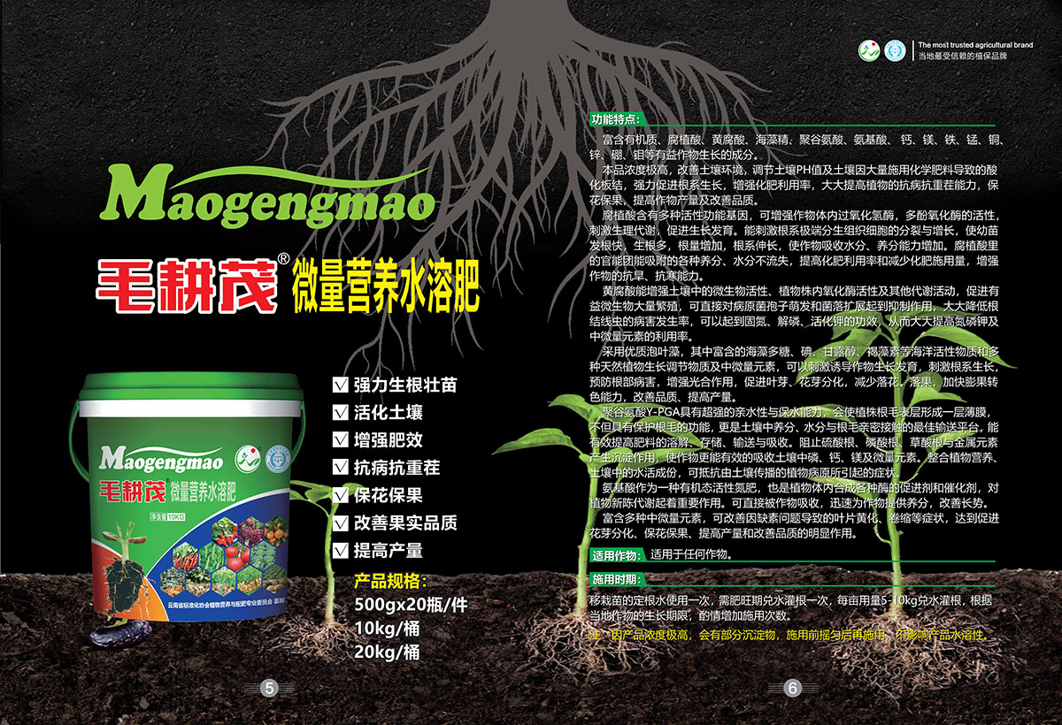 毛耕茂.jpg