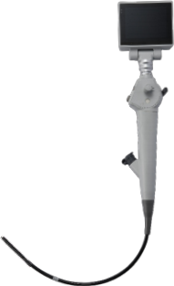 09c2dae3-c605-474b-bed7-98c1a9f98652.png