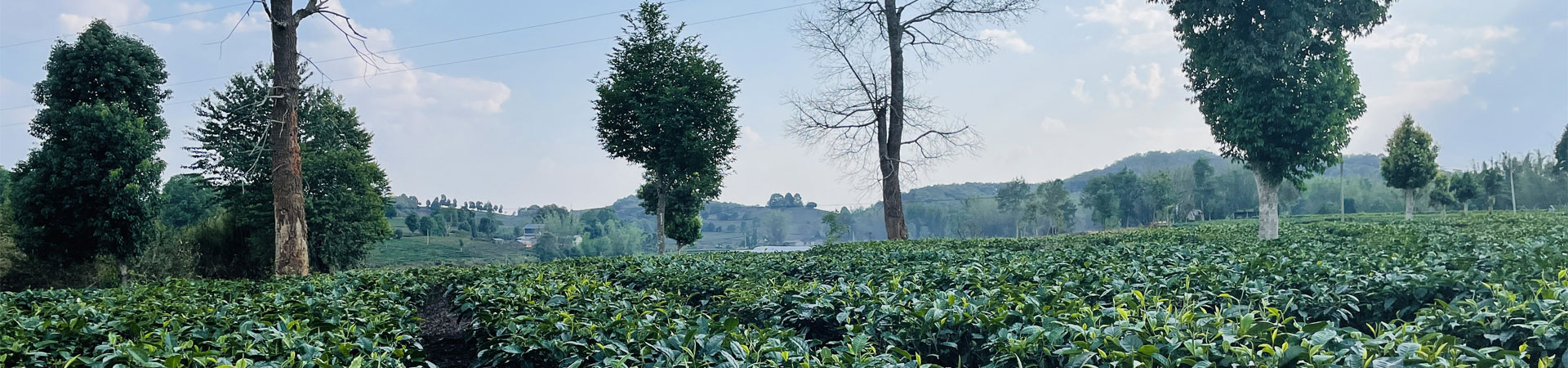工艺流程内页Banner