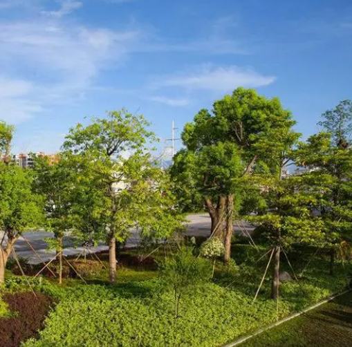 市政园林工程_城市项目合作设计