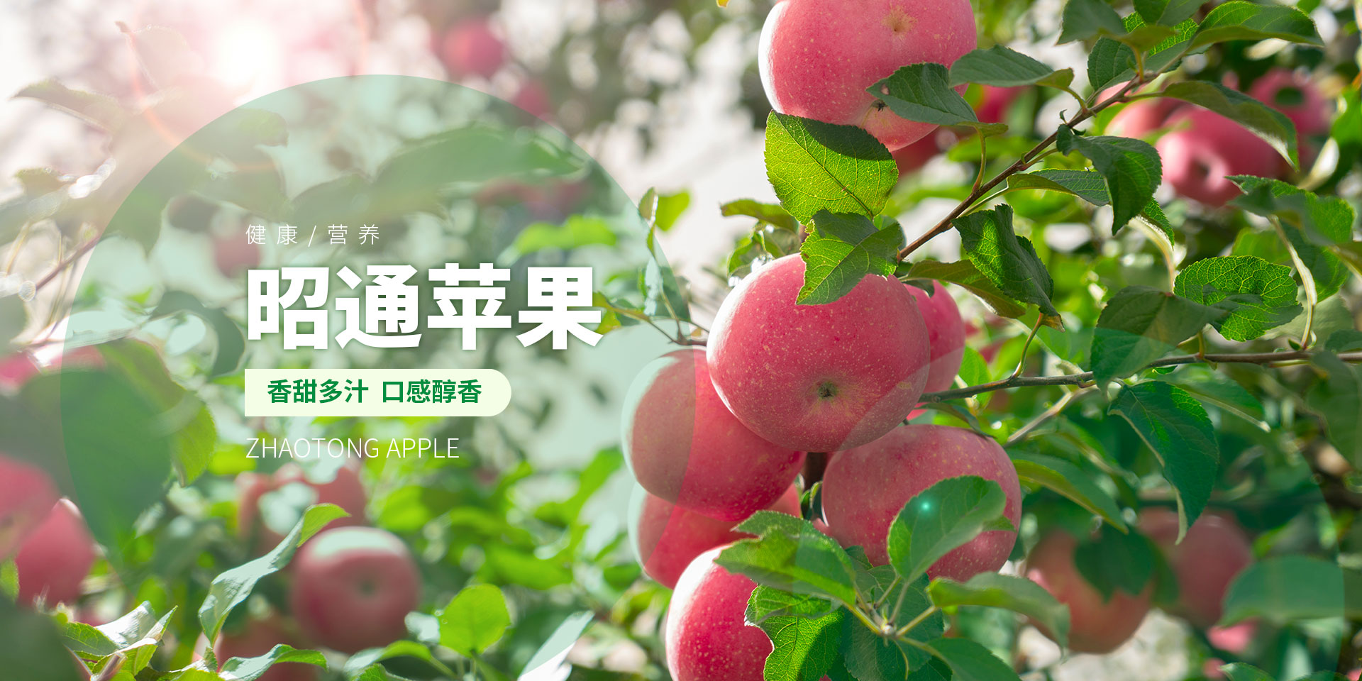 首页Banner01