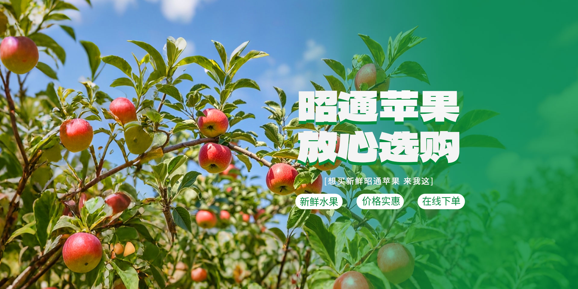 首页Banner02