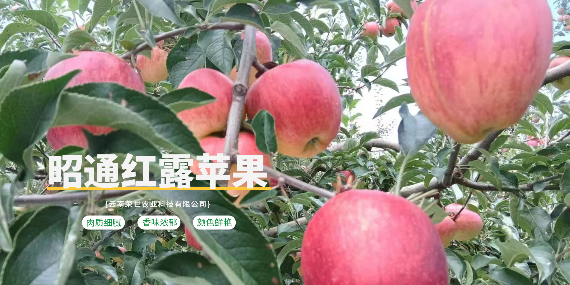 首页Banner04