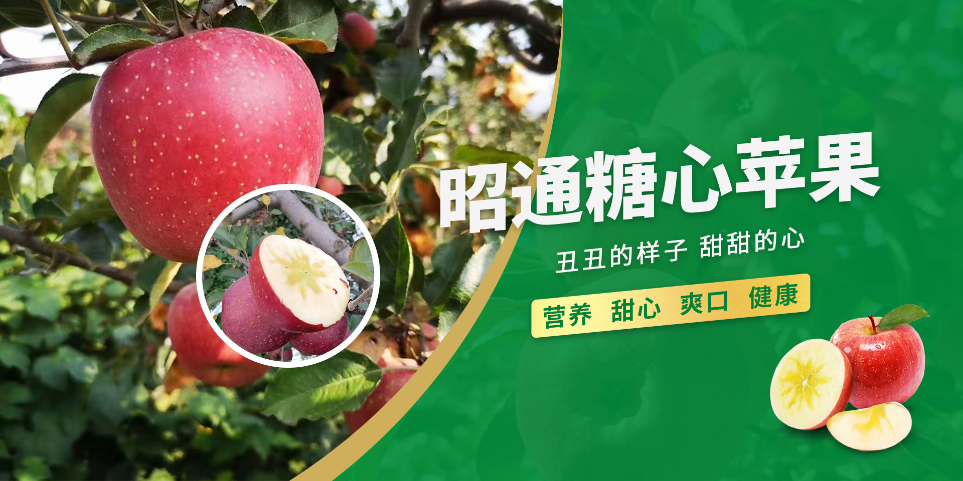 首页Banner05