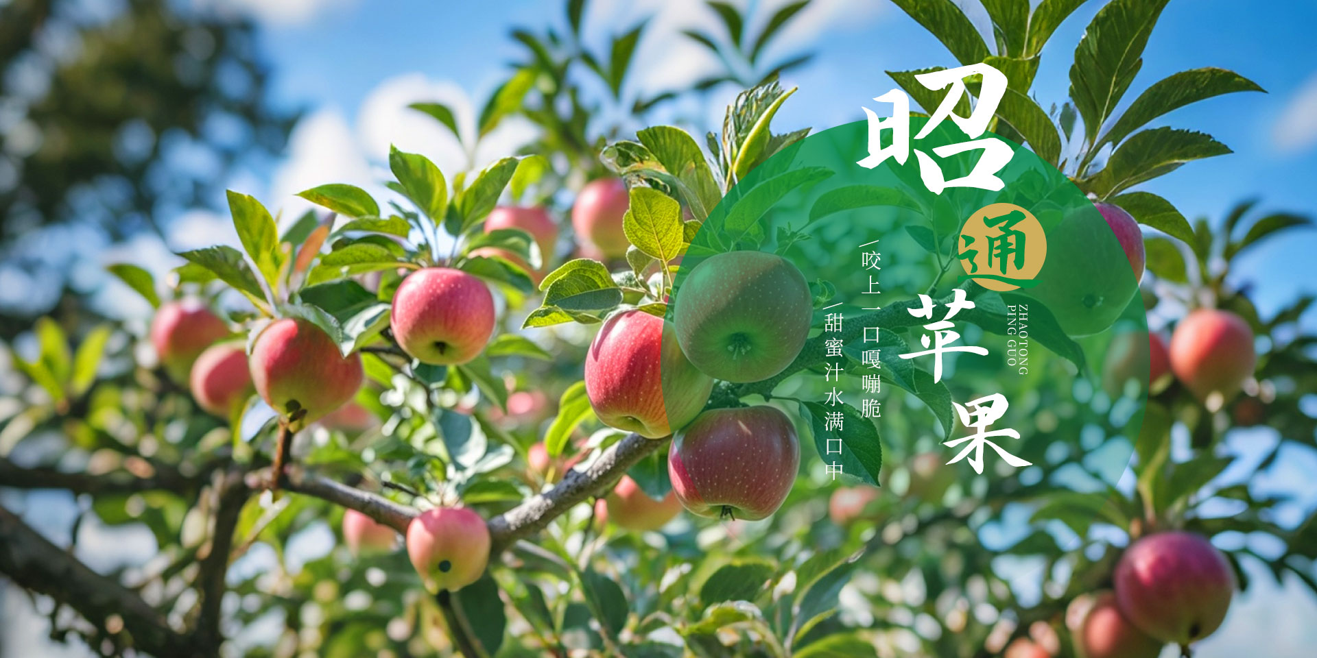 首页Banner03