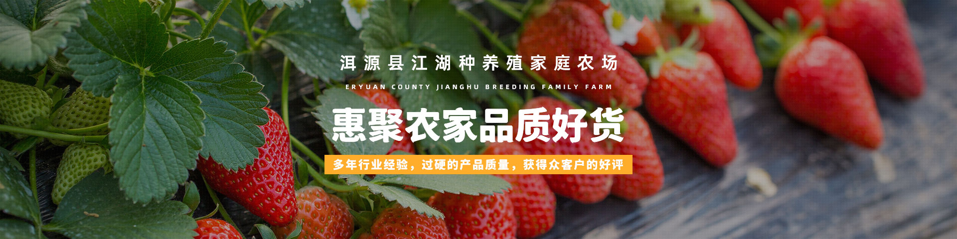 内页Banner