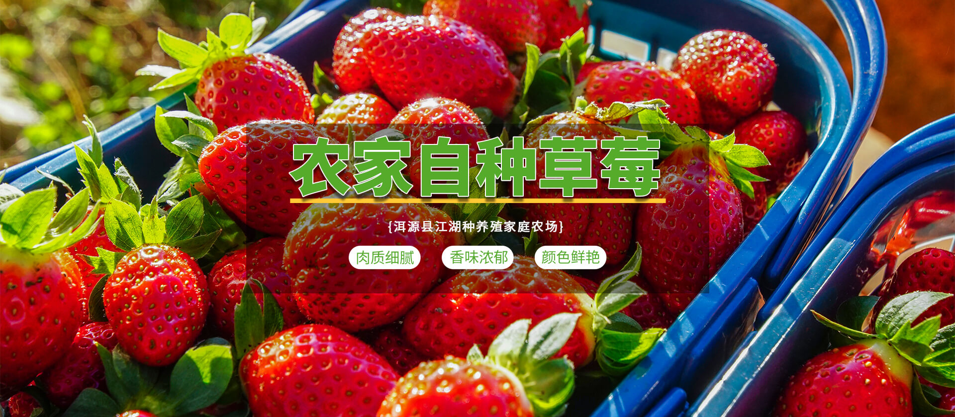 首页Banner02