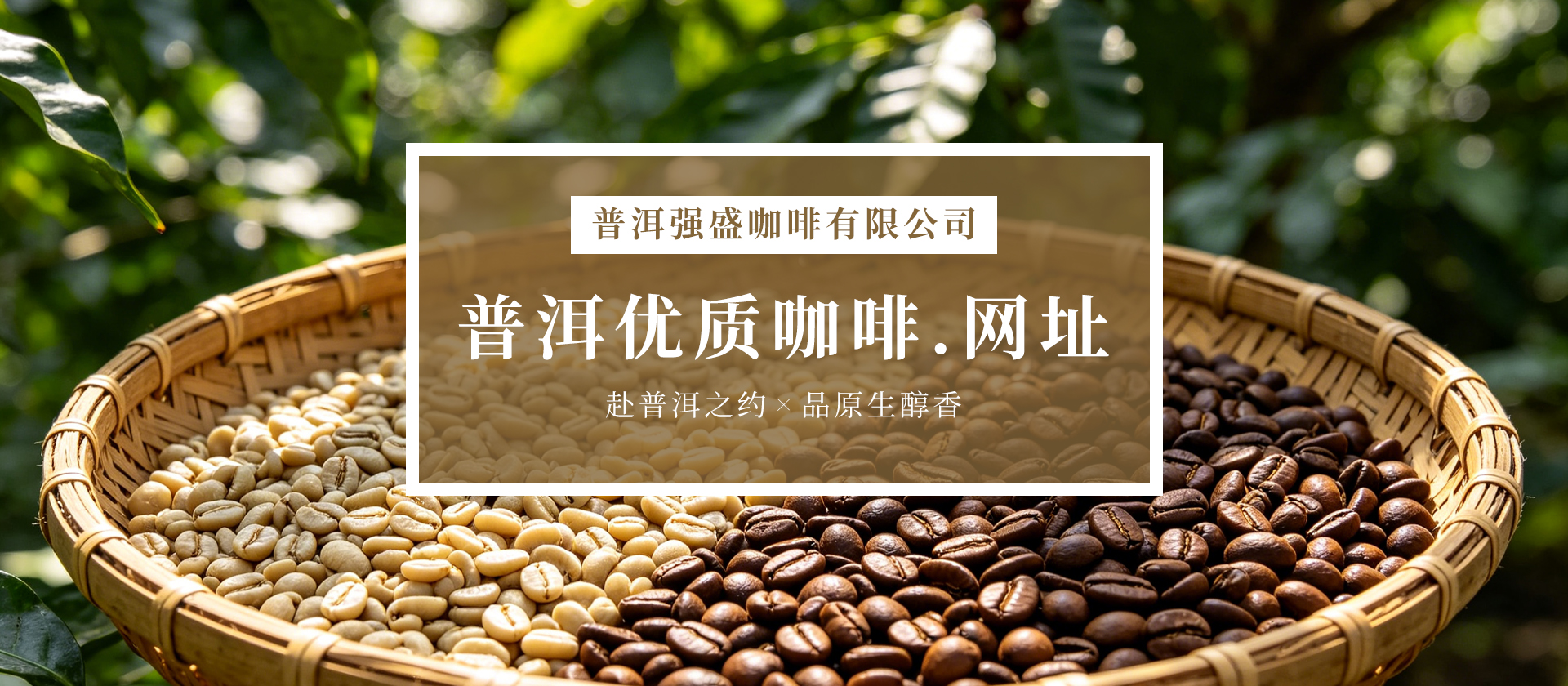首页Banner02