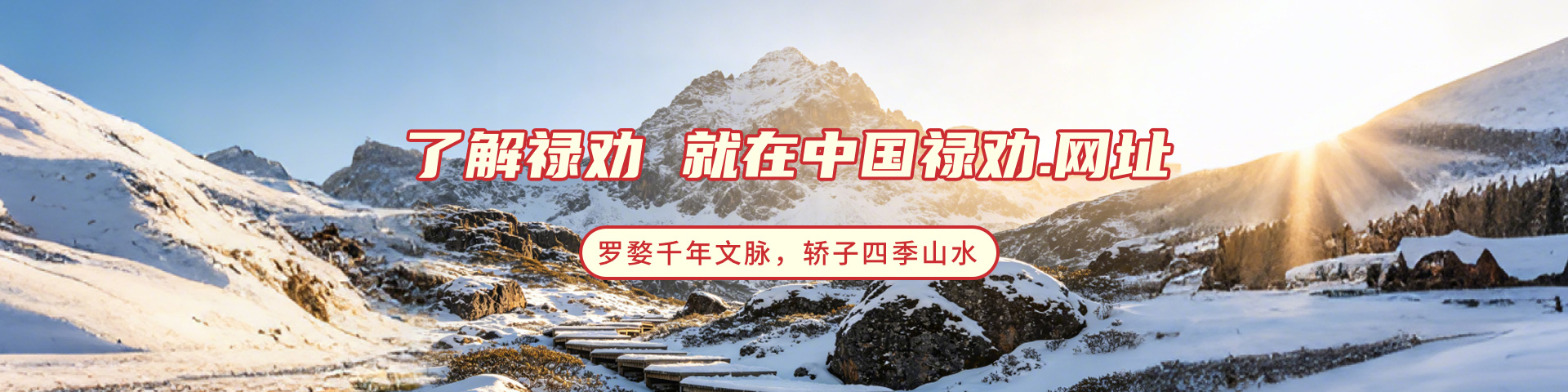 内页Banner