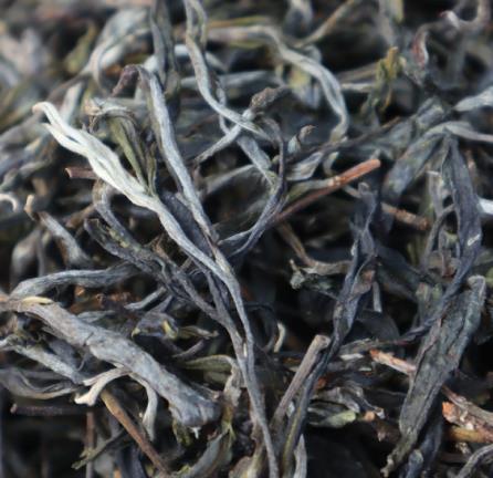 勐腊县出产的薄荷塘生普茶，品鉴起来格外有趣
