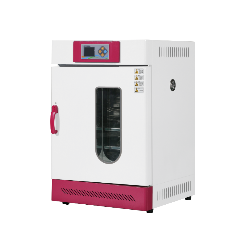 常规电热恒温培养箱
