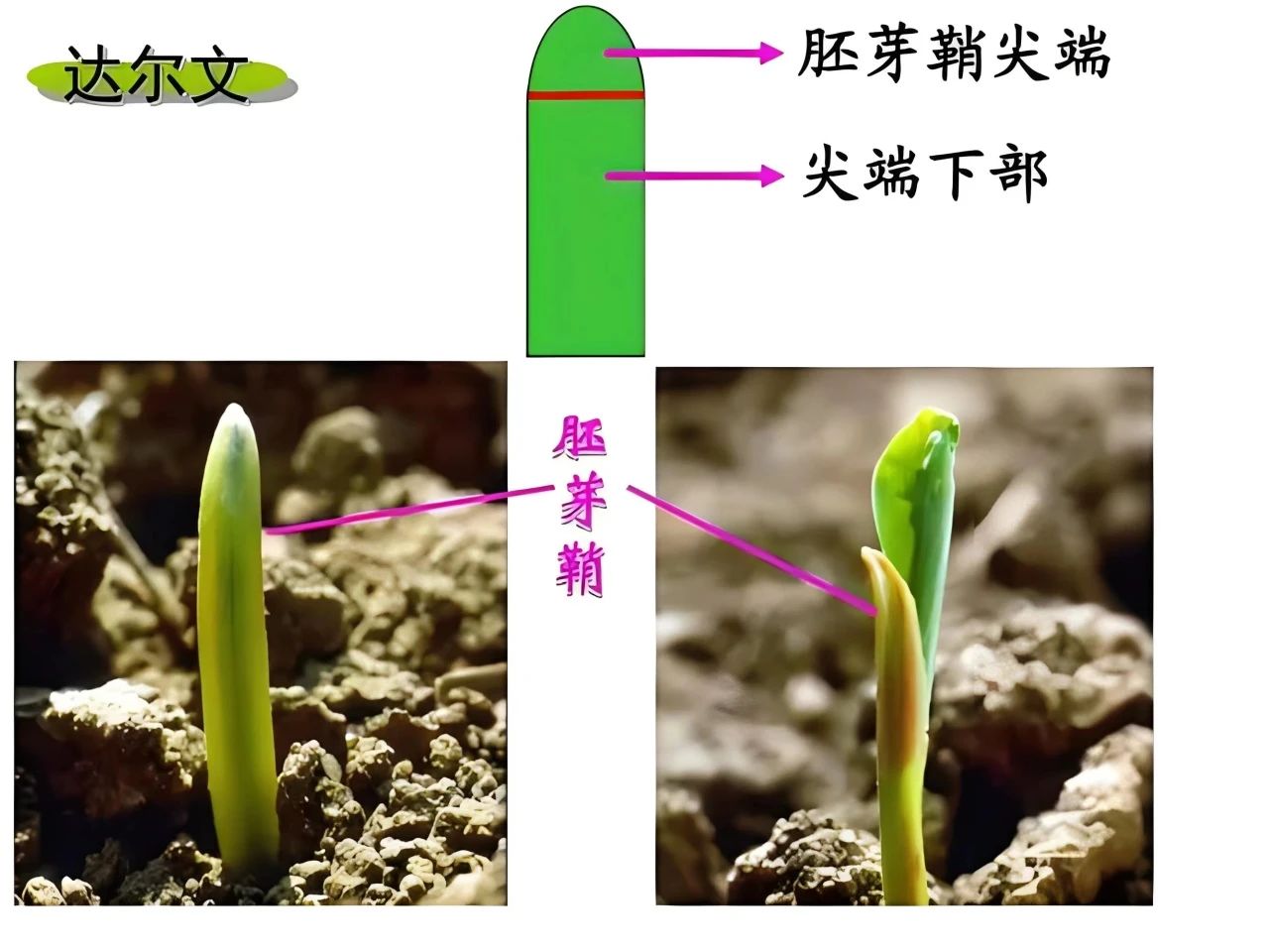ac770231-f0b1-485c-91f4-db7735bcaa09.jpg