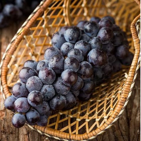 浏阳湘珍珠葡萄_怀化食品、饮料营养