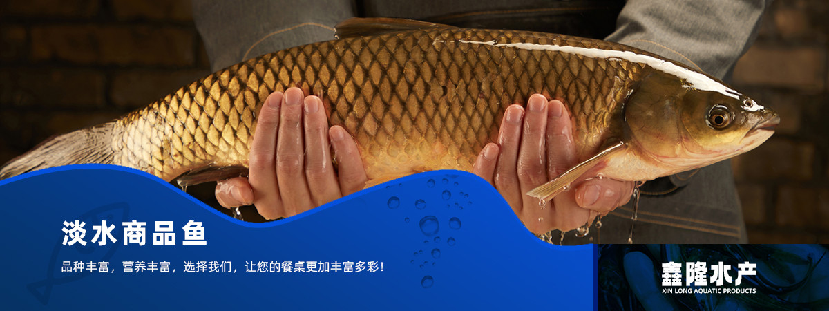 20c8580d-45a9-43fb-a2b4-906b4583abe3.jpg