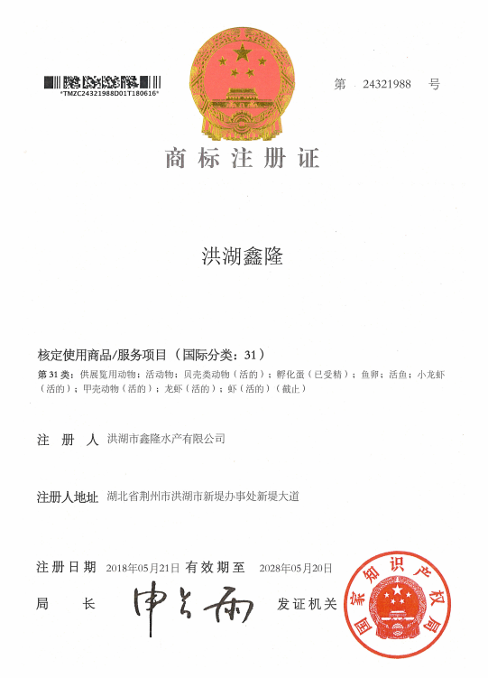 b60d4de8-68bb-4f38-9c87-f04076ec0632.jpg