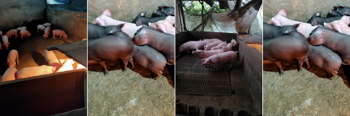 12967a9a-7dcf-4f0a-9c51-cddae3b36f02.jpg 12967a9a-7dcf-4f0a-9c51-cddae3b36f02.jpg