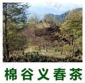 603a0763-a534-4955-b49b-e8de7c4dc15f.jpg 603a0763-a534-4955-b49b-e8de7c4dc15f.jpg