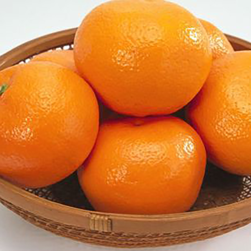 云南橘子
