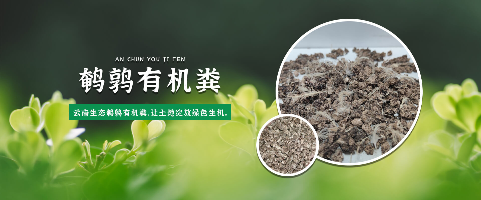 首页Banner03