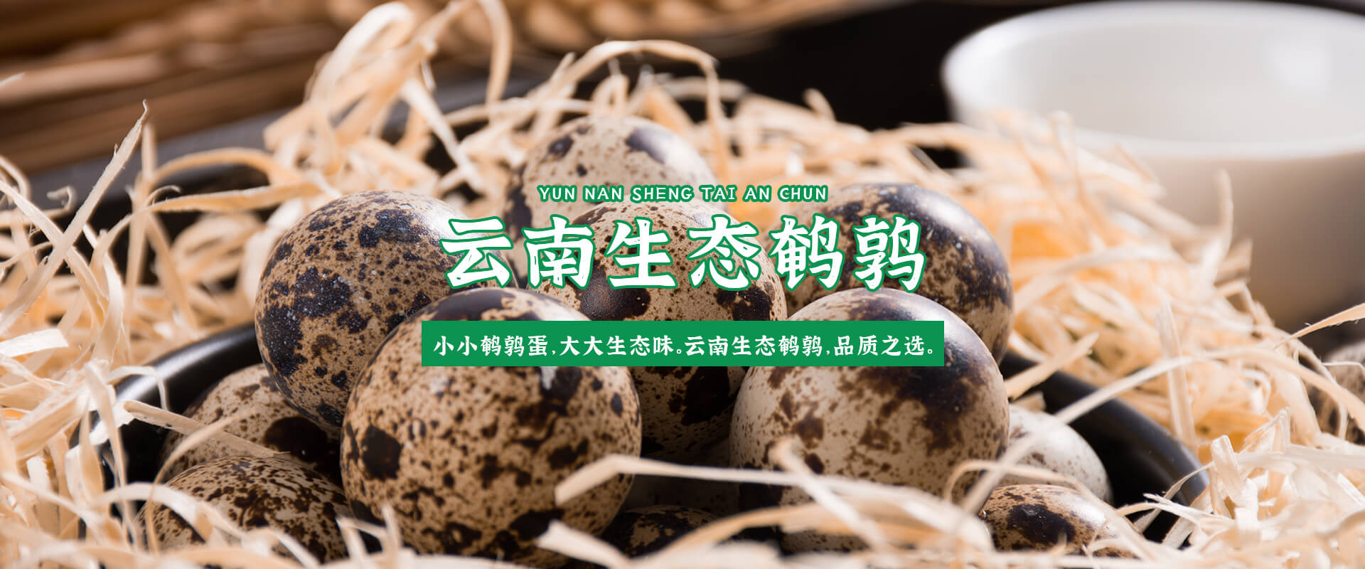 首页Banner02