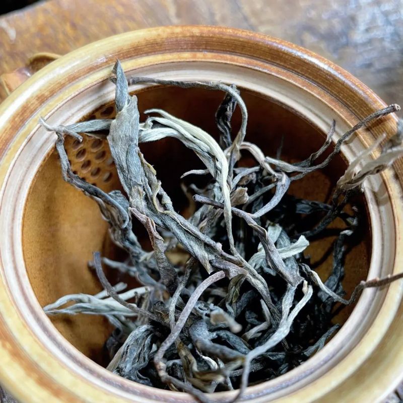 昔归生茶：云南茶文化的典范