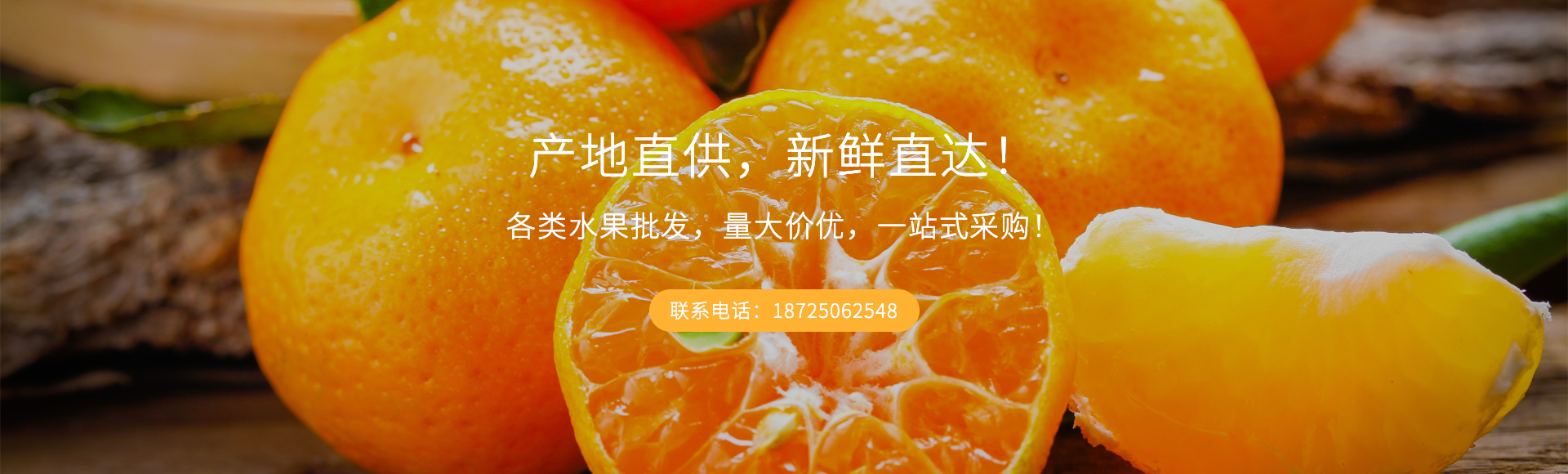 首页Banner03
