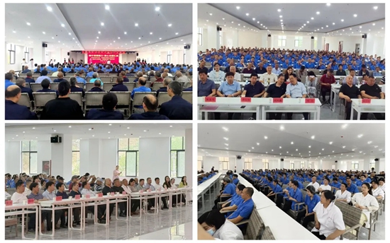 471d8142-bd4f-4beb-99e8-2adf210cc812.jpg